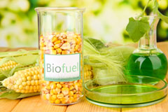Great Eppleton biofuel availability